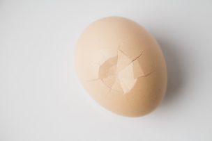 卵子